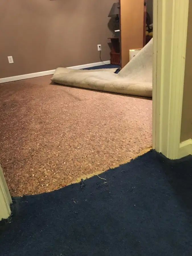 Carpet pad removal revealing water damage during Drying & Dehumidification in Upper Dublin