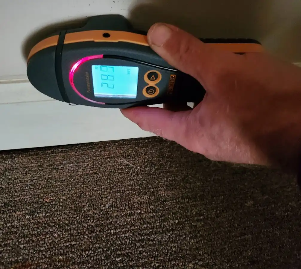 Moisture detection at baseboard during Mold Inspection & Testing in Upper Dublin